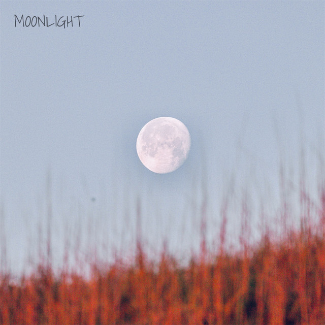Cover artwork for Moonlight by Jones, mastered by Sontale Mastering